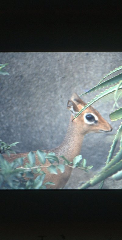 img604.jpg