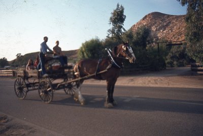 img621.jpg