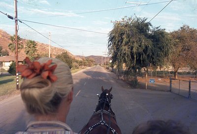 img622.jpg