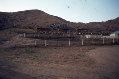 img623.jpg