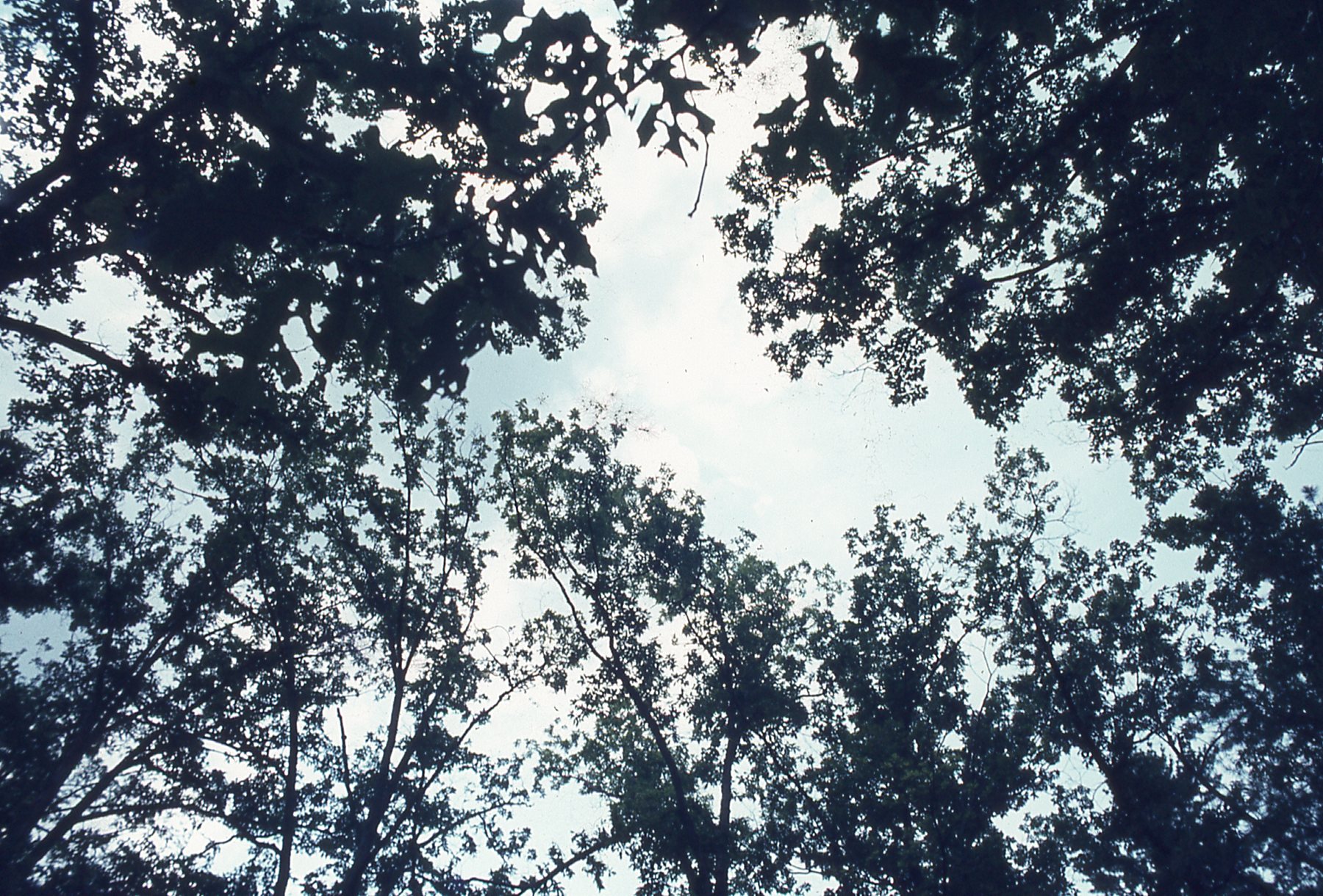 img071.jpg