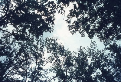 img071.jpg