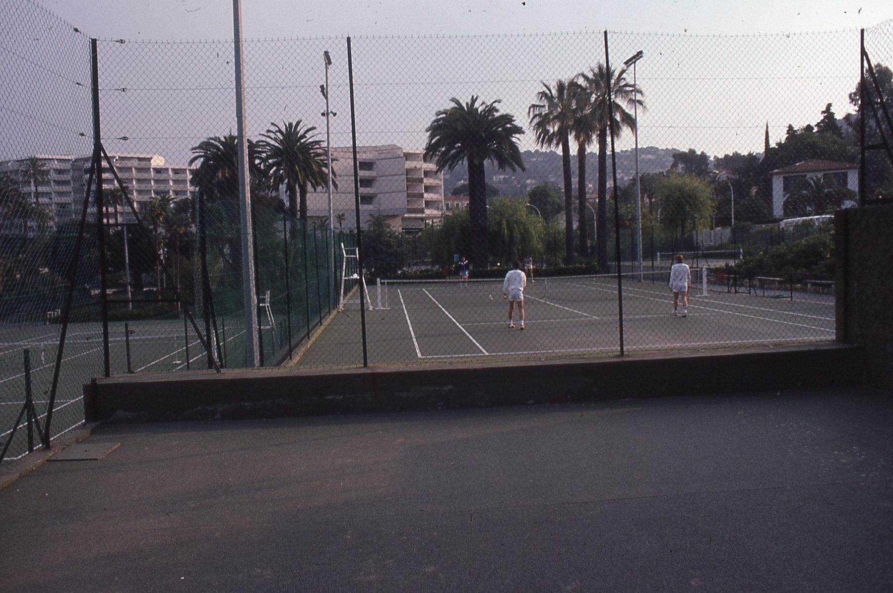 img243.jpg