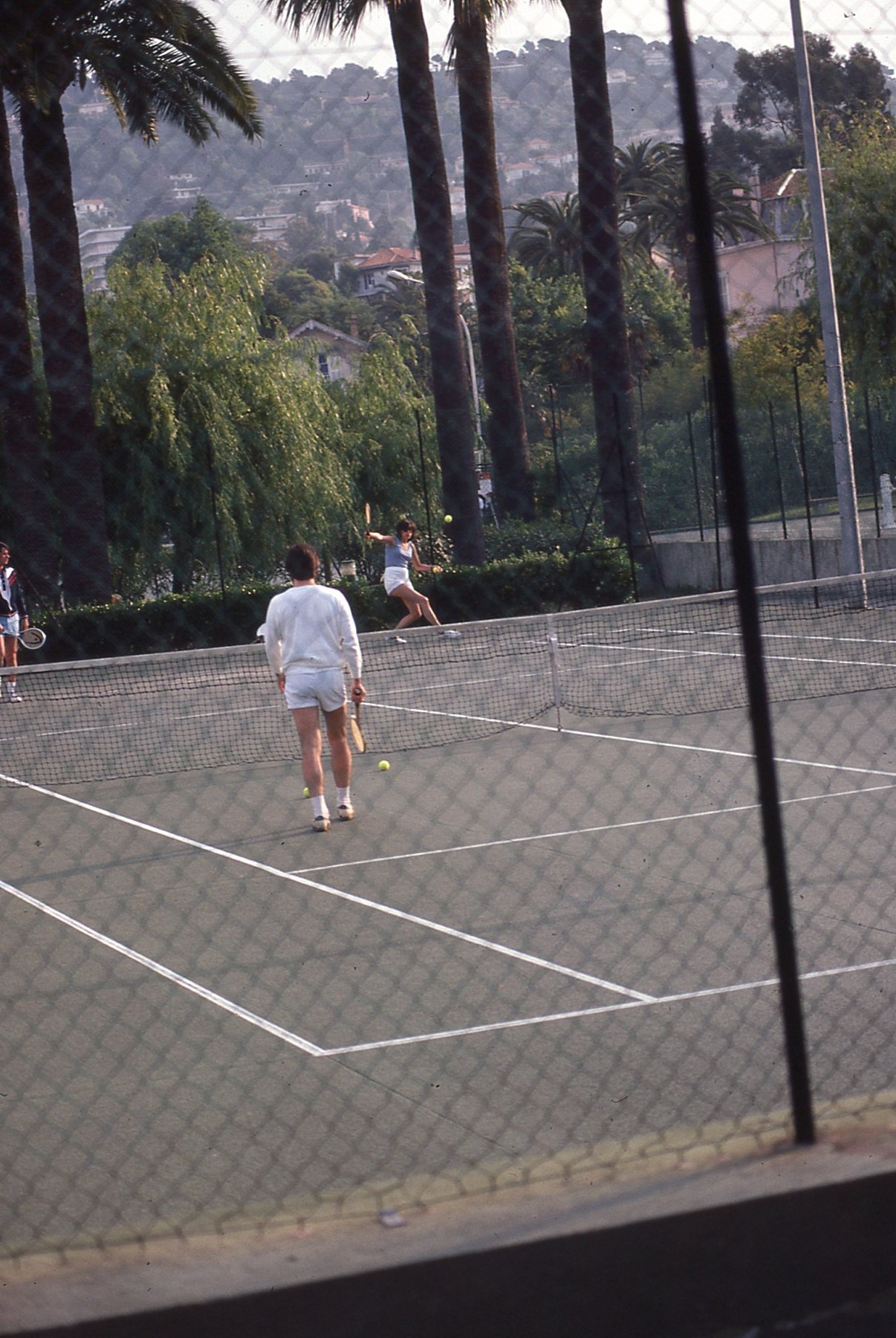 img244.jpg