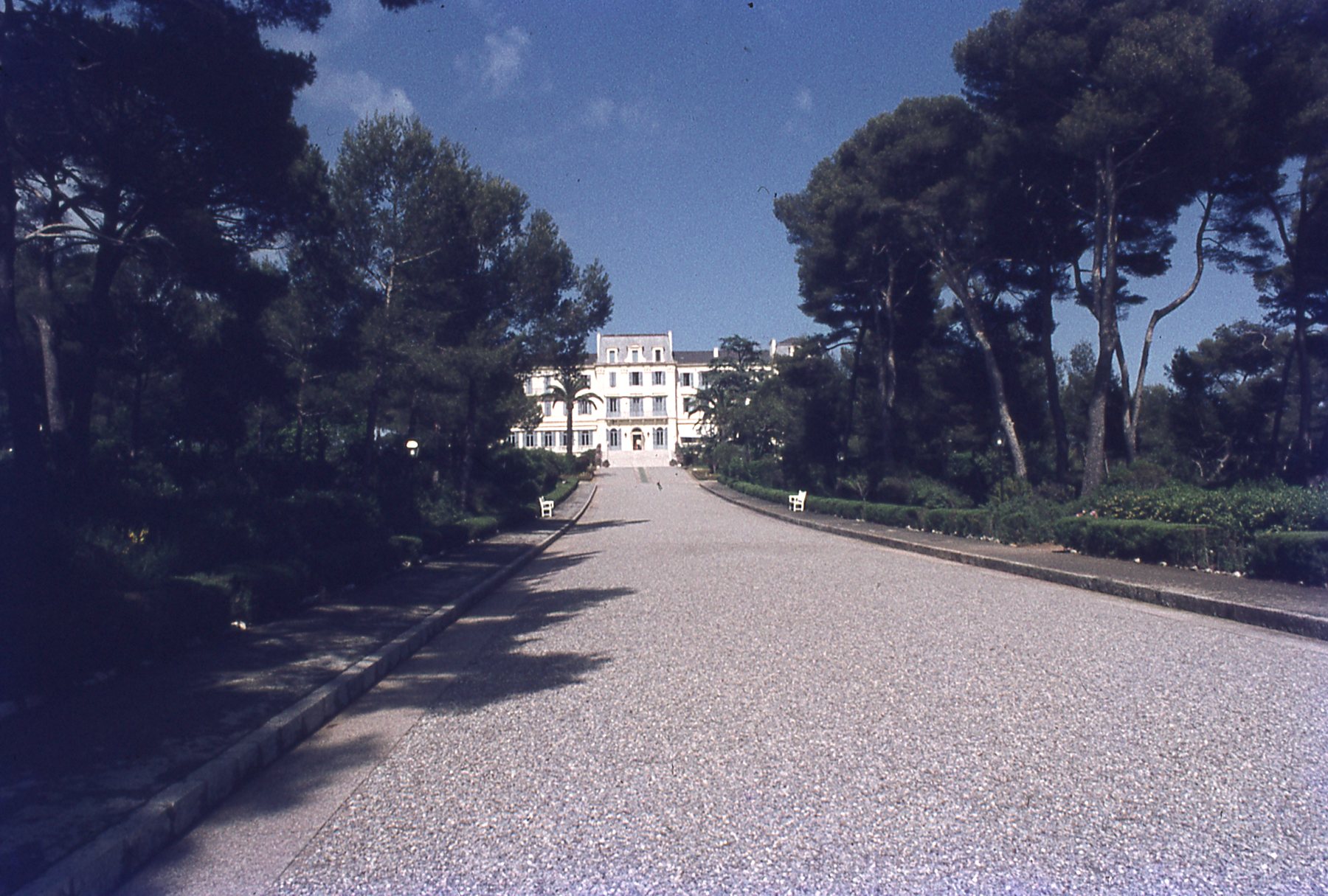 img247.jpg