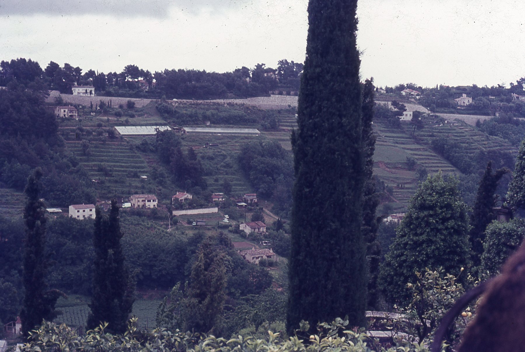 img780.jpg