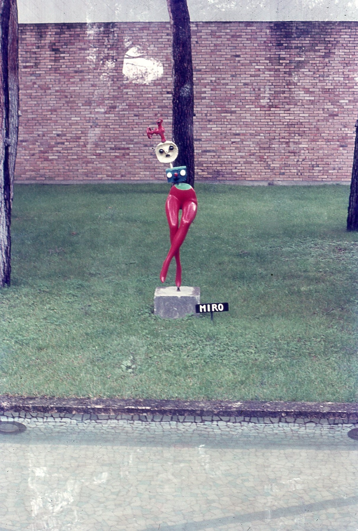 img799.jpg