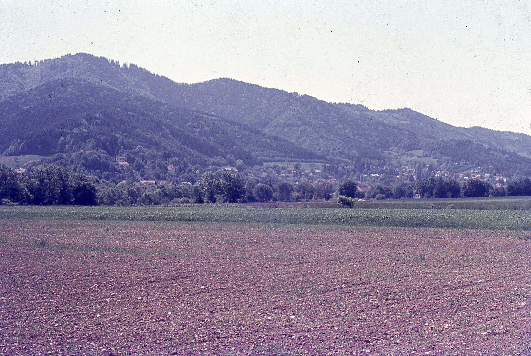 img845.jpg