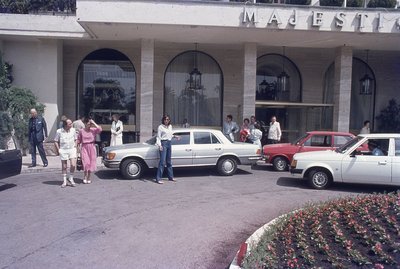 img231.jpg