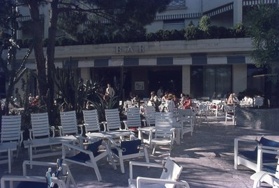 img234.jpg