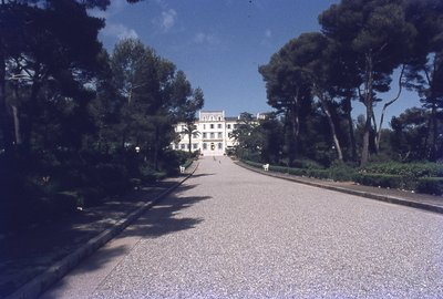 img247.jpg