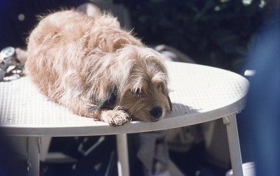 img277.jpg