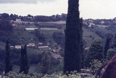 img780.jpg