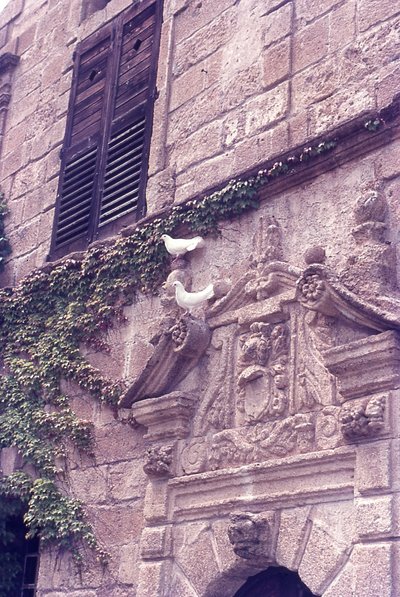 img787.jpg