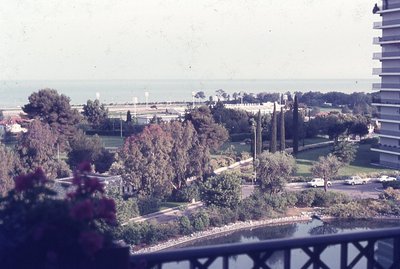 img806.jpg