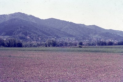 img845.jpg