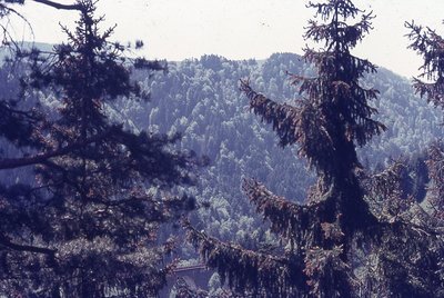 img847.jpg