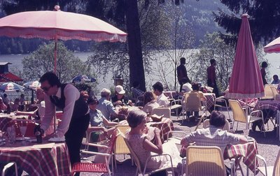 img850.jpg