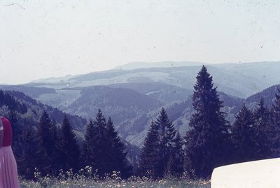 img851.jpg