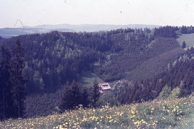 img852.jpg
