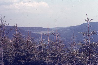 img855.jpg