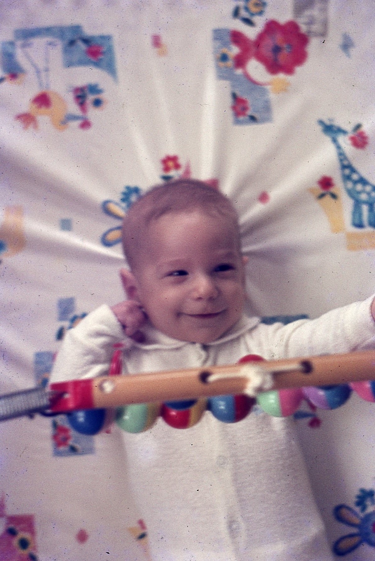 img390.jpg