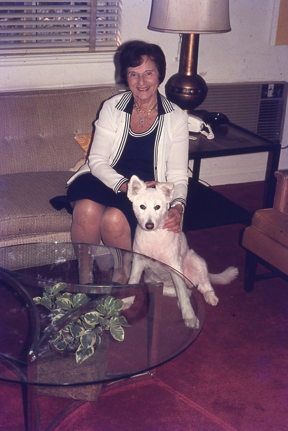 img489.jpg
