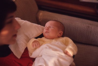 img376.jpg