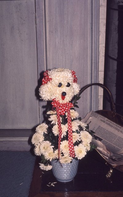 img379.jpg