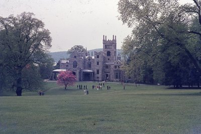 img389.jpg
