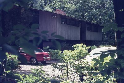 img394.jpg