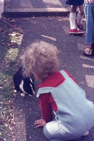 img426.jpg
