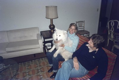 img144.jpg