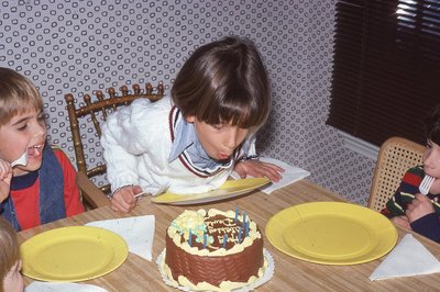 img413.jpg