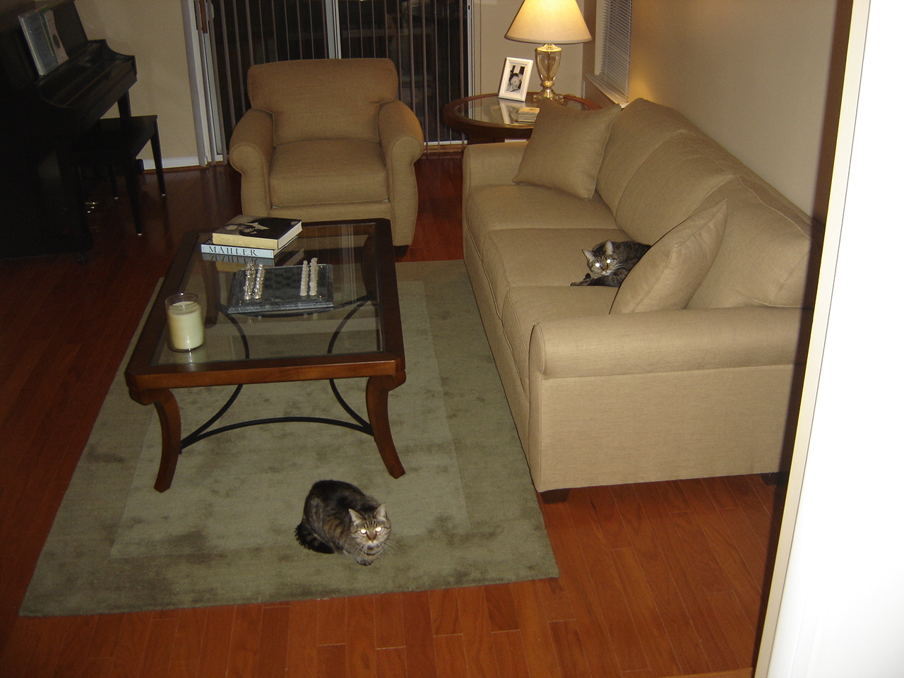 Lumps-of-fur.jpg