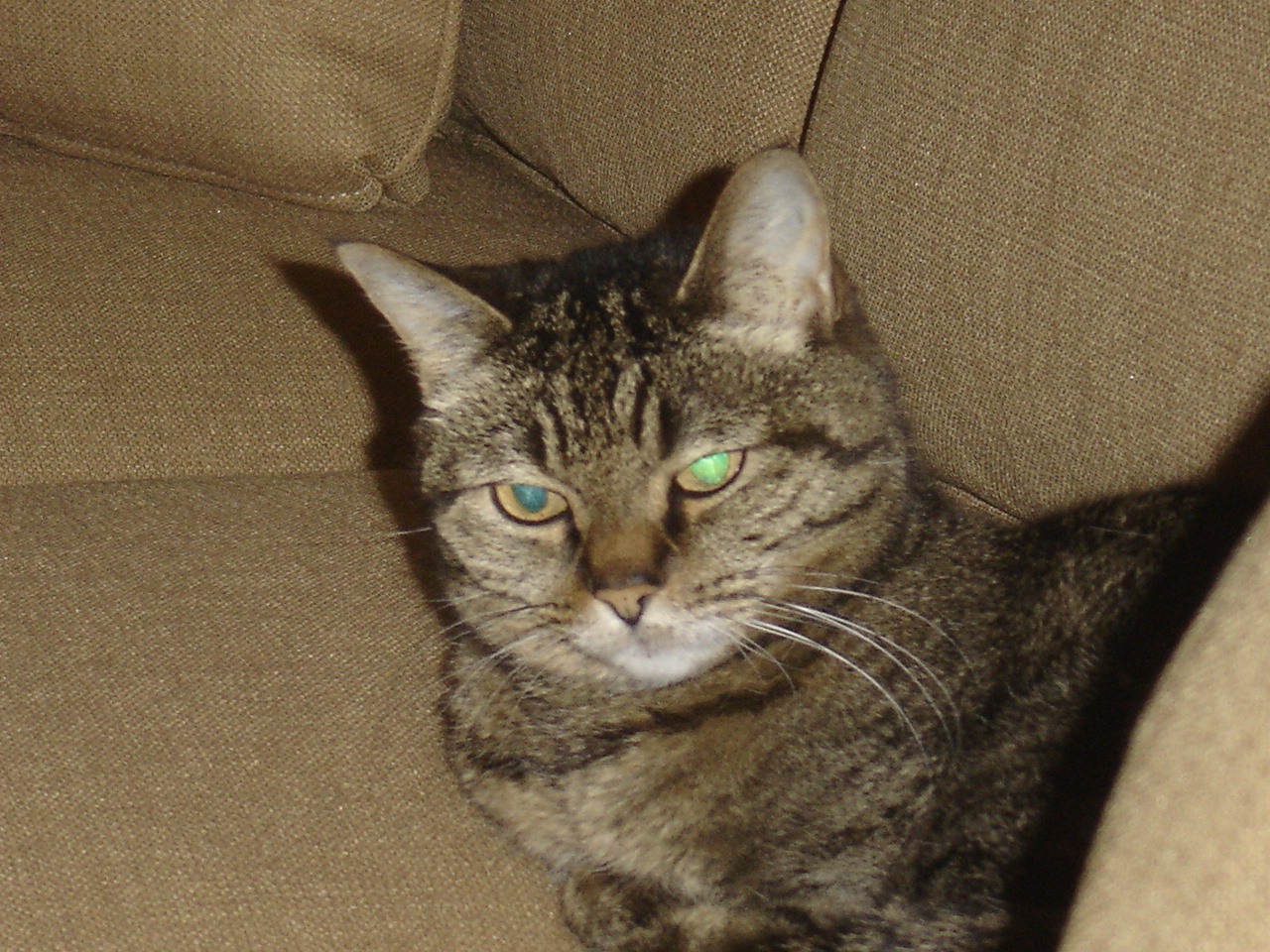 Myra-3.jpg