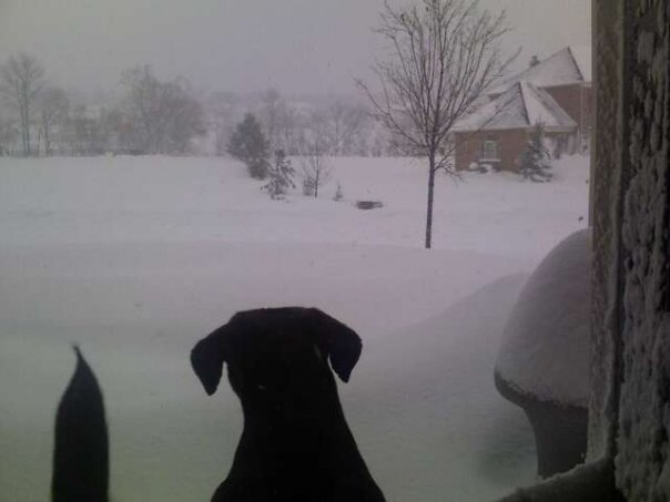 Serena-Snow.jpg