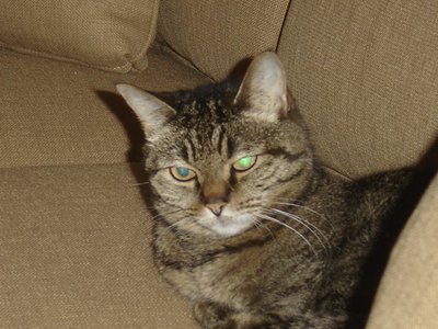 Myra-3.jpg