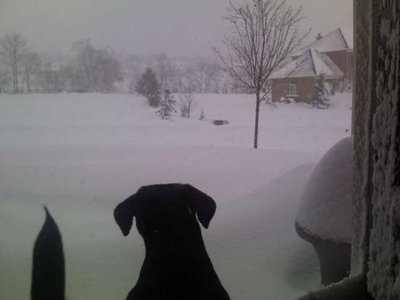 Serena-Snow.jpg