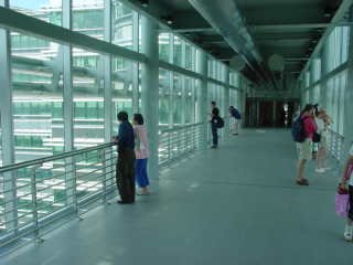 petronaswalkway.jpg