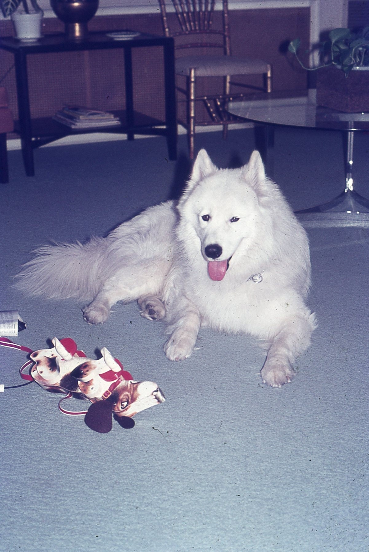 img733.jpg