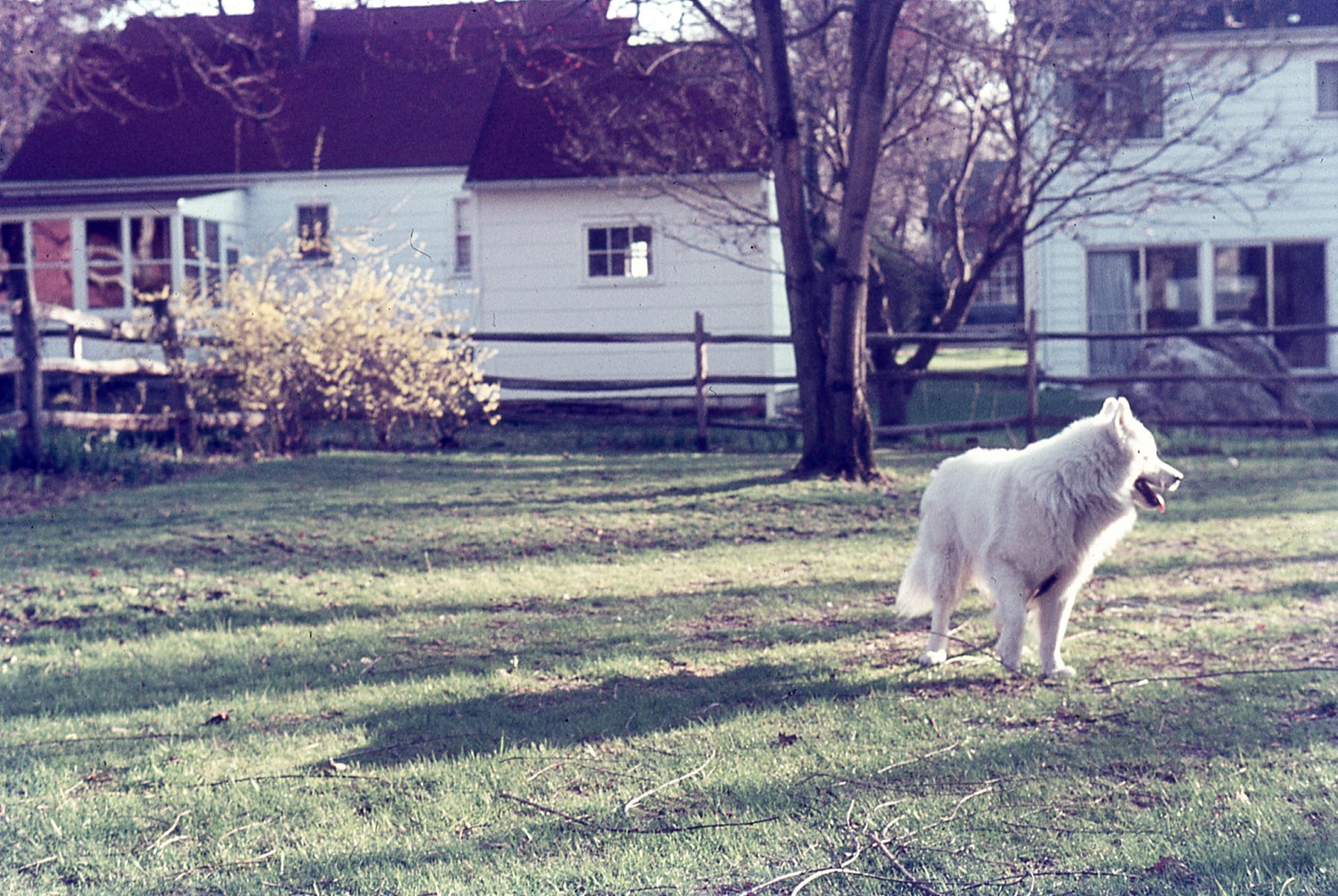 img738.jpg