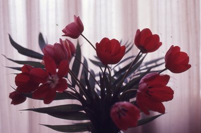 img768.jpg
