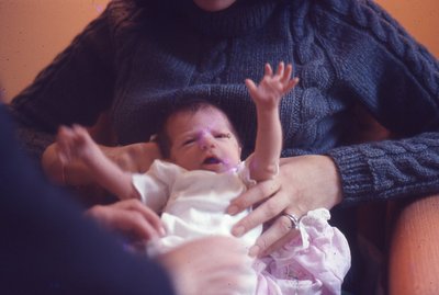 img780.jpg