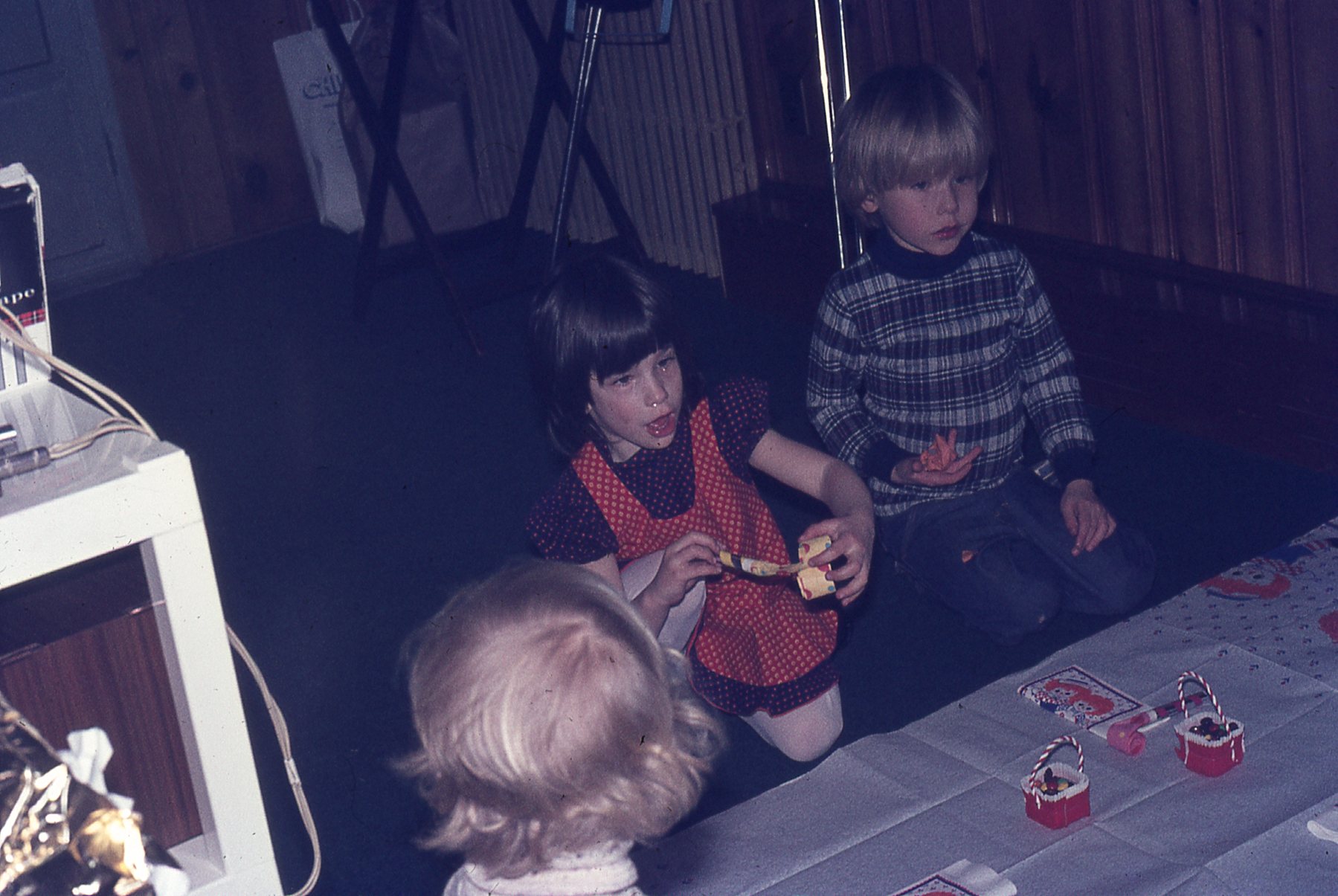 img969.jpg