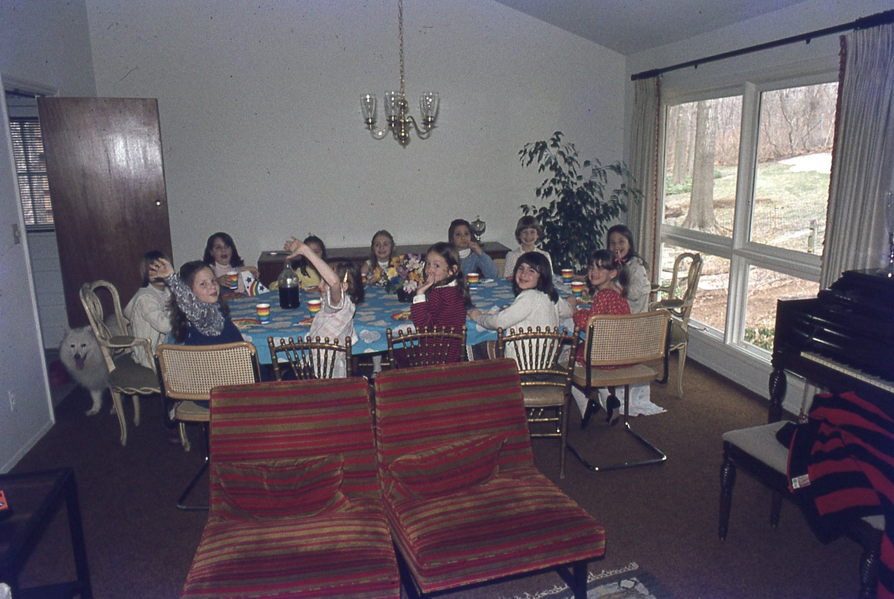 img173.jpg