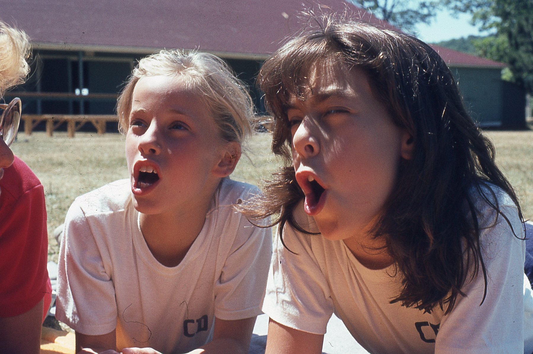 img735.jpg