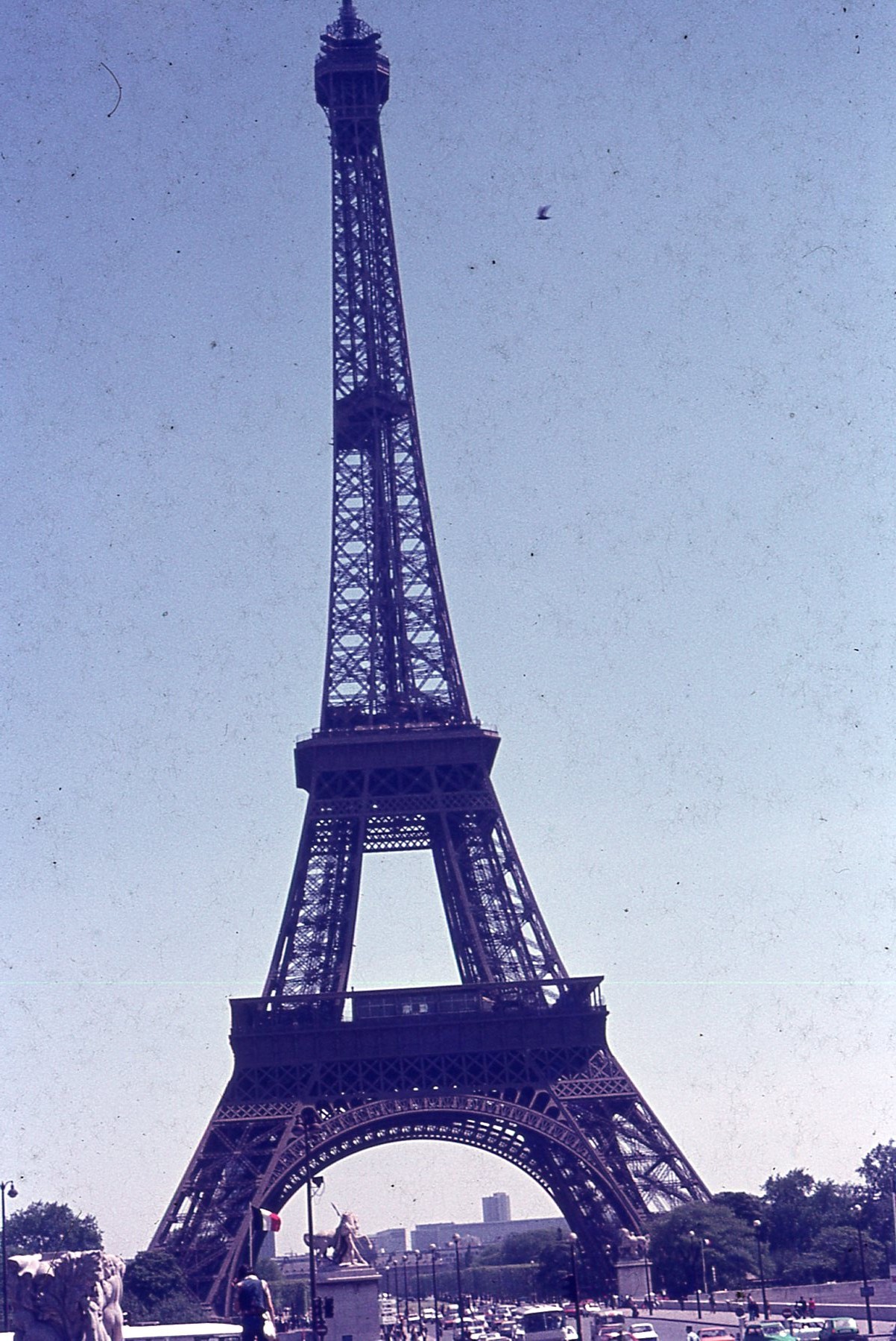 img037.jpg