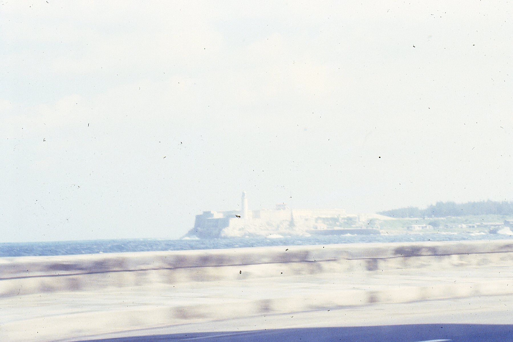 img087.jpg