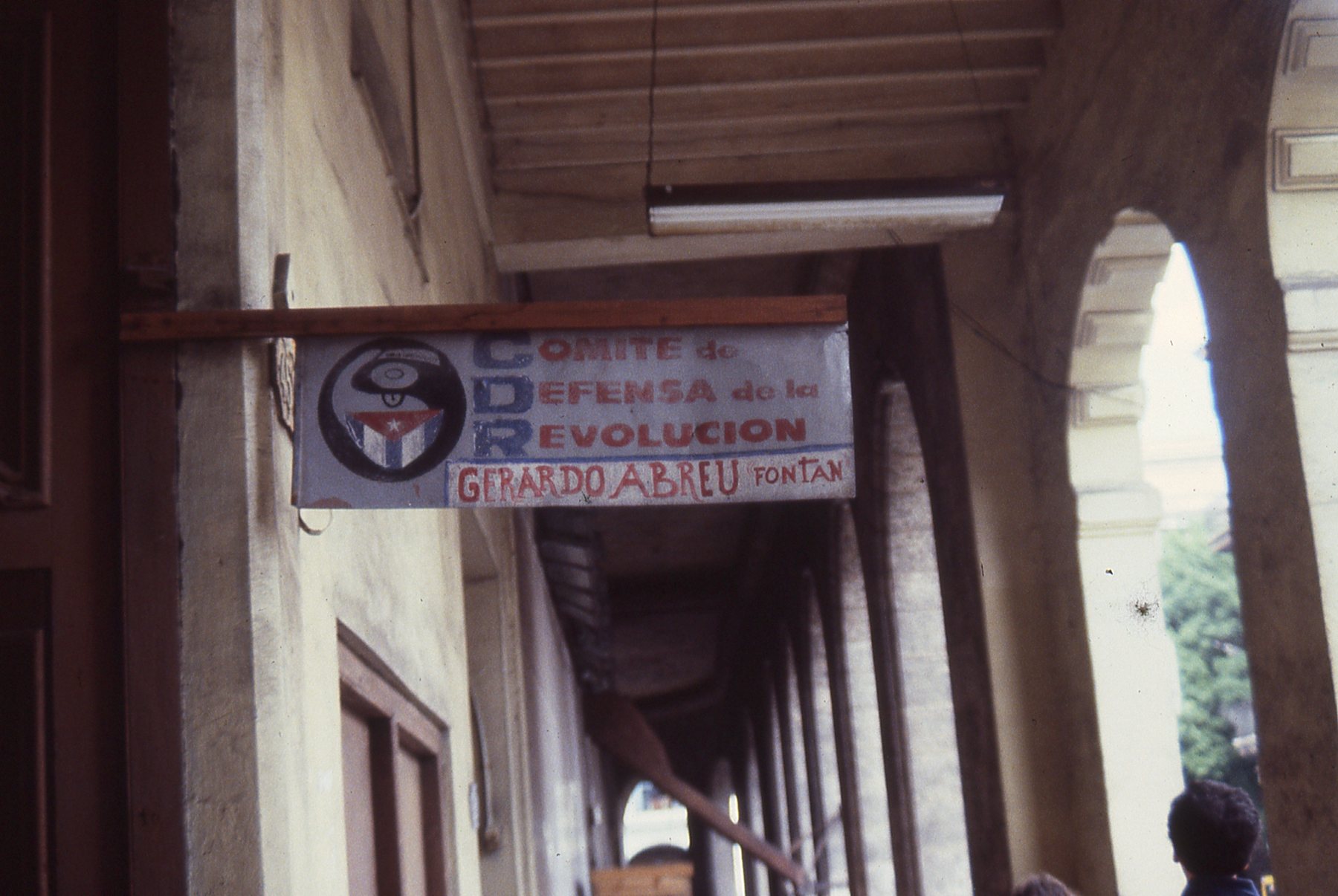 img448.jpg